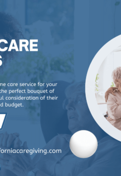 Types of elderly care services in Torrance